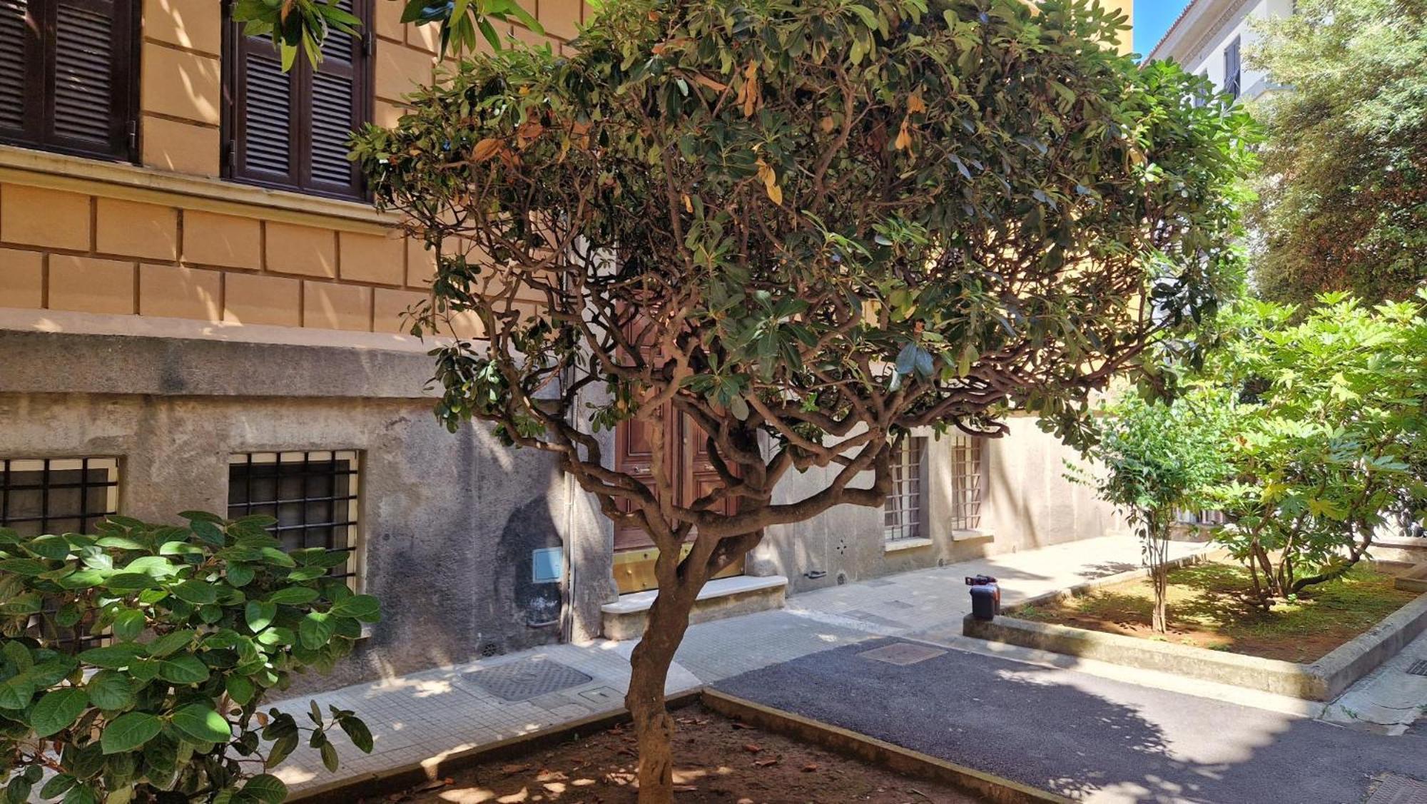 Appartement Borghese Magnolia Rome